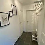 Bernsteinsucher 诺登